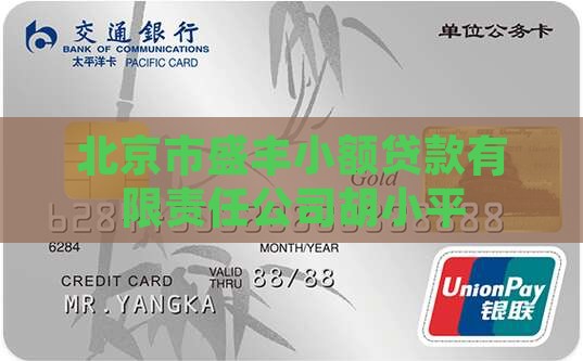 北京市盛丰小额贷款有限责任公司胡小平