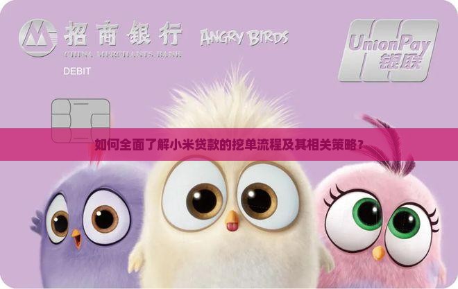 如何全面了解小米贷款的挖单流程及其相关策略？