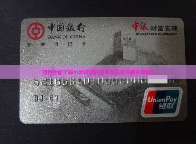 如何全面了解小米贷款的挖单流程及其相关策略？