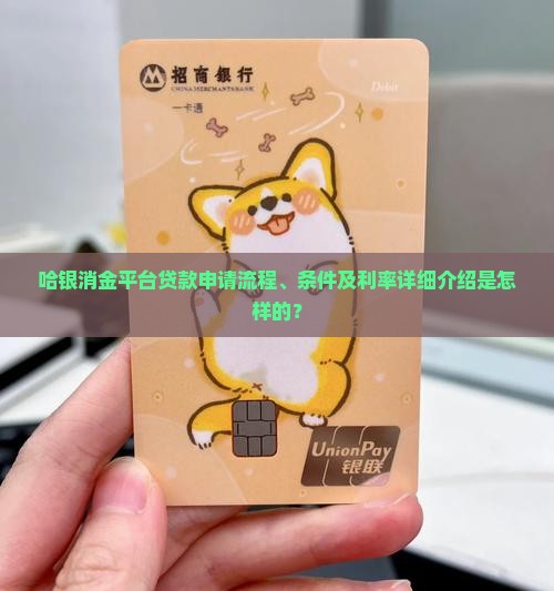 哈银消金平台贷款申请流程、条件及利率详细介绍是怎样的？