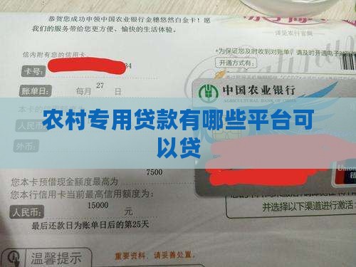 农村专用贷款有哪些平台可以贷
