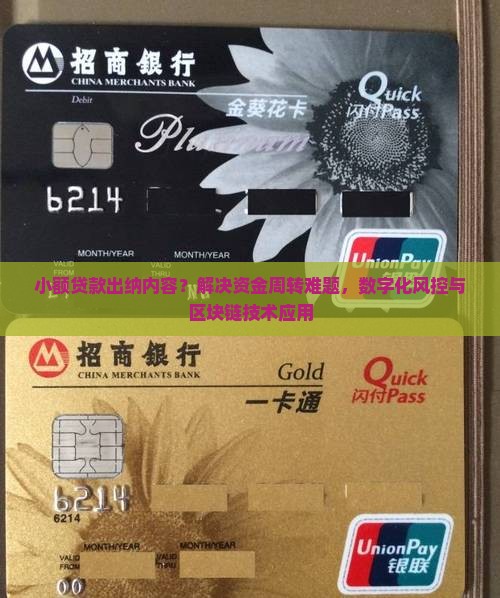 小额贷款出纳内容？解决资金周转难题，数字化风控与区块链技术应用