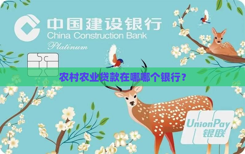 农村农业贷款在哪哪个银行？
