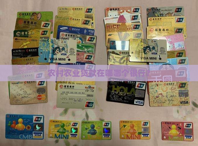 农村农业贷款在哪哪个银行？