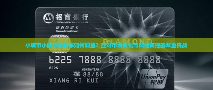 小城市小额贷款利率如何调整？应对市场变化与风险防控的双重挑战