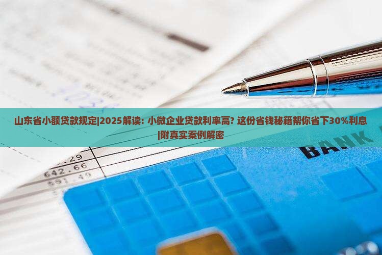 山东省小额贷款规定