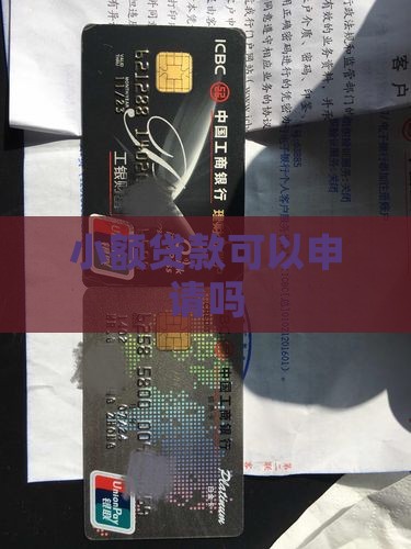 可以小额贷款吗