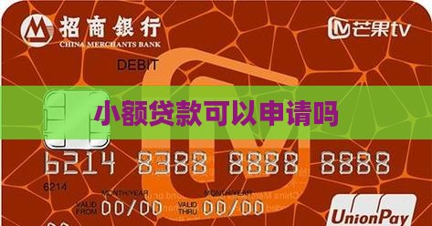可以小额贷款吗