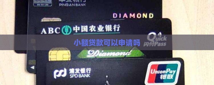 可以小额贷款吗