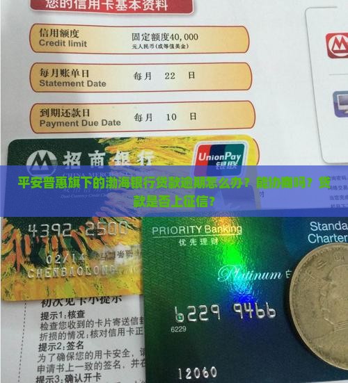 平安普惠旗下的渤海银行贷款逾期