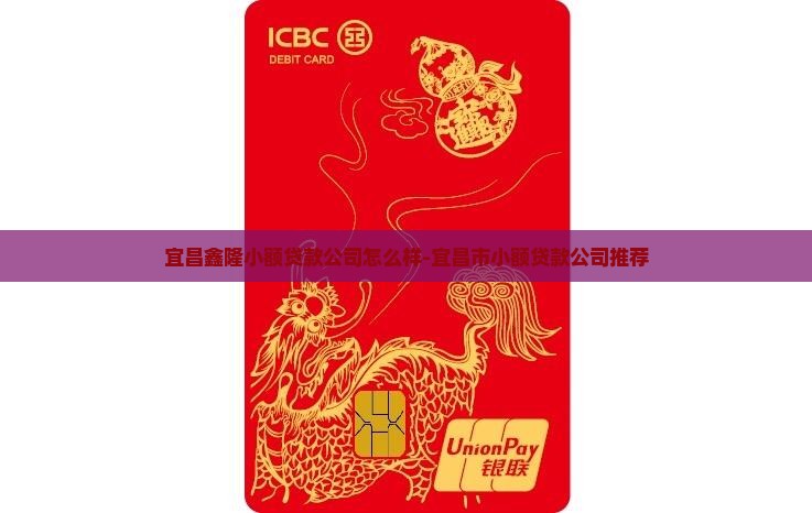 宜昌鑫隆小额贷款