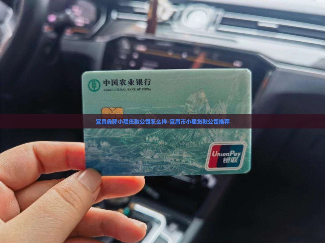 宜昌鑫隆小额贷款