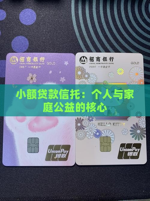 公益性小额贷款