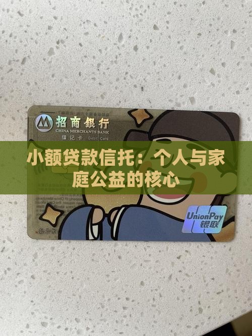 公益性小额贷款