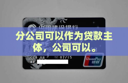 分公司能主体否做贷款
