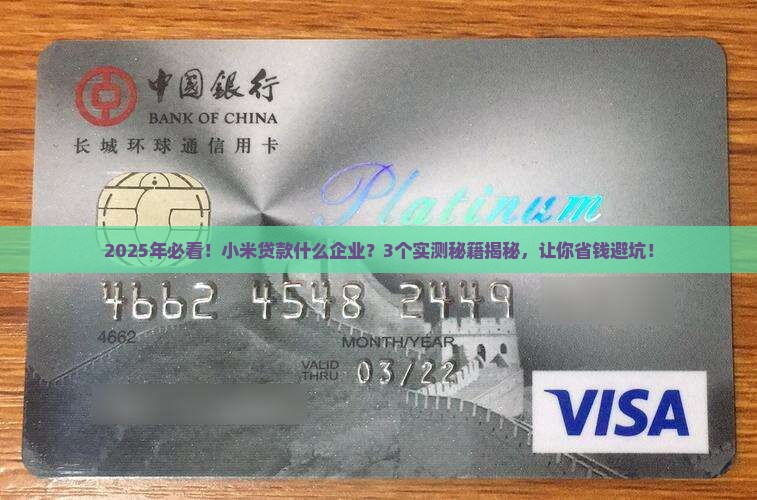 小米贷款什么企业