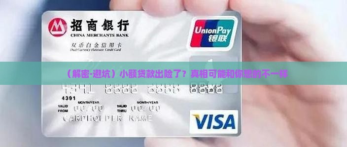 小额贷款出险的解剖