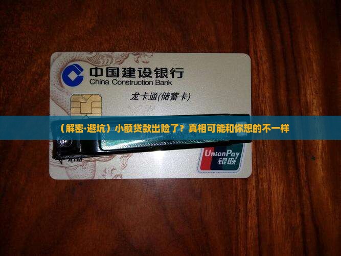 小额贷款出险的解剖