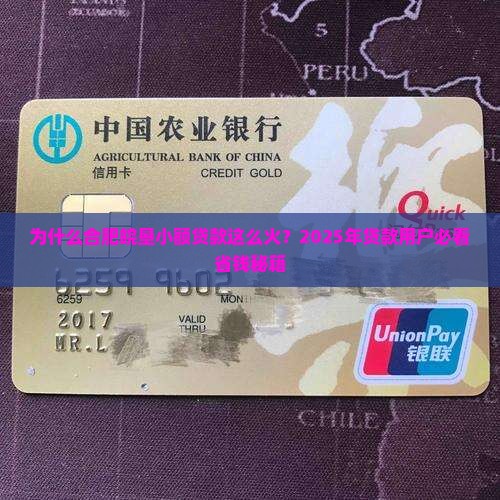 合肥皖垦小额贷款