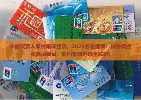 小额贷款入股村集体经济