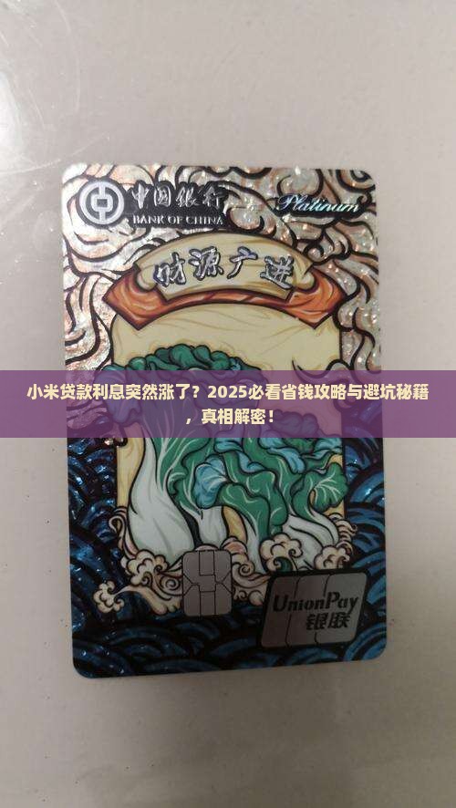 小米贷款利息突然涨了