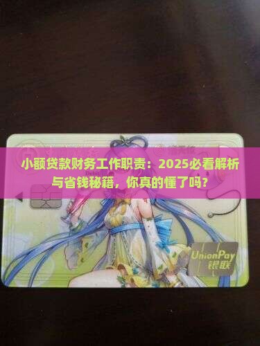 小额贷款财务工作职责