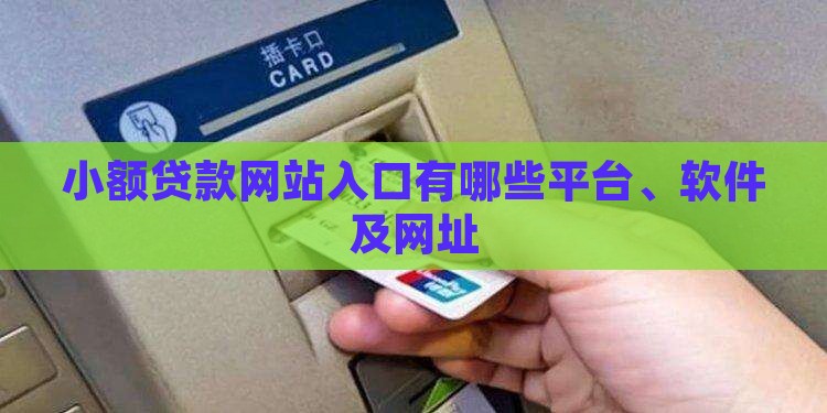 小额贷款网站入口有哪些