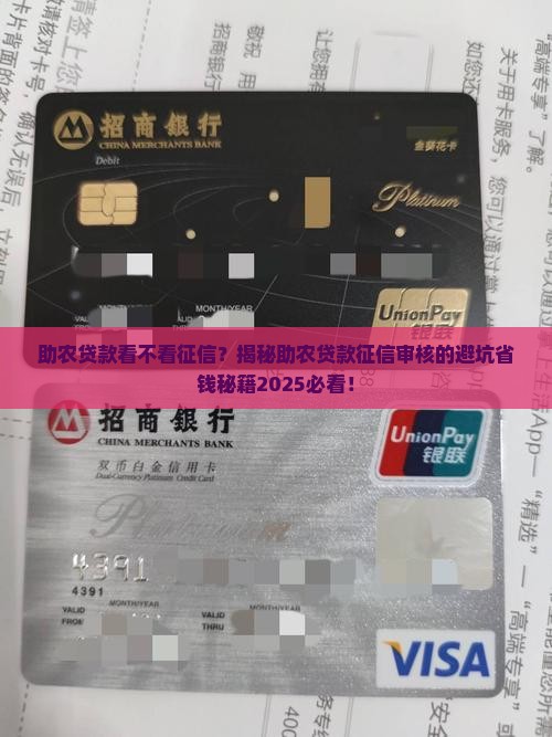 助农贷款看不看征信