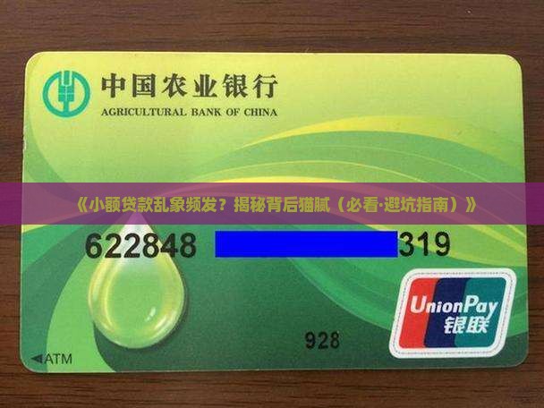 怎么不打击小额贷款