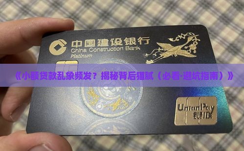 怎么不打击小额贷款