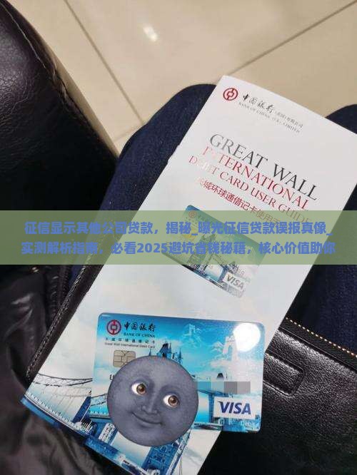 征信显示其他公司贷款