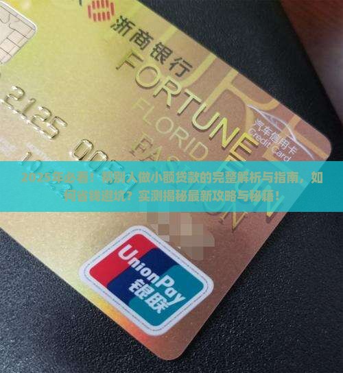 帮别人做小额贷款