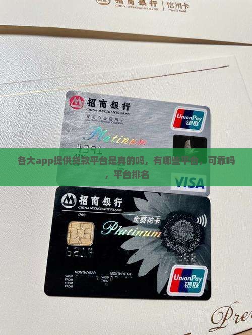 各大app提供贷款平台