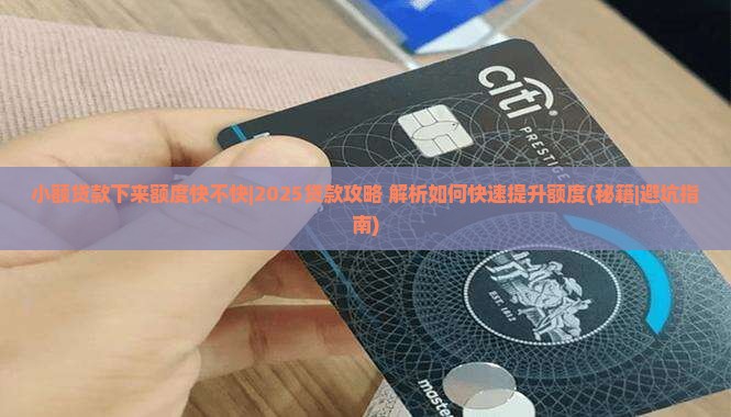 小额贷款下来额度快不快