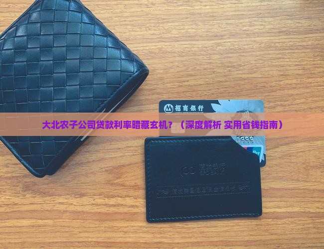 大北农子公司贷款利率