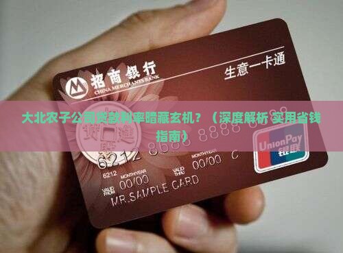 大北农子公司贷款利率