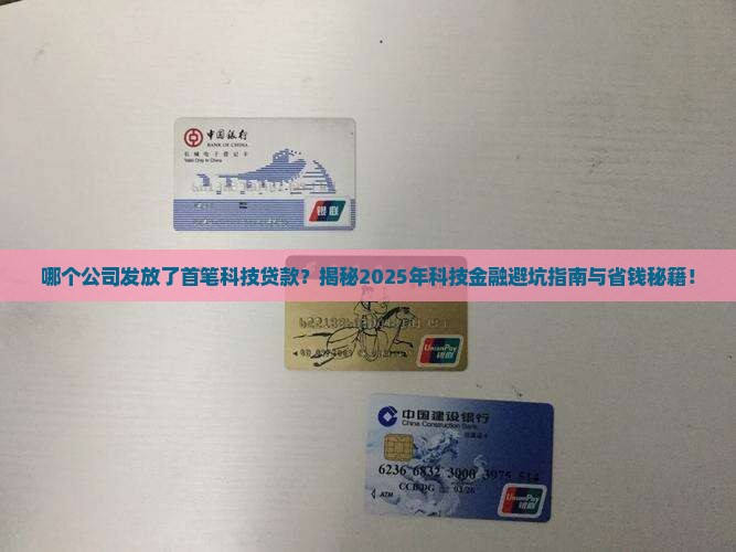 发放首笔科技贷款的公司