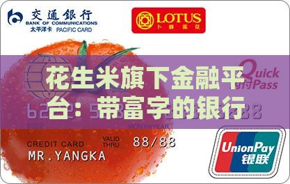 带富字的贷款平台