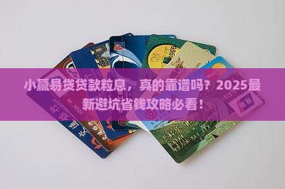 小赢易贷贷款粒息