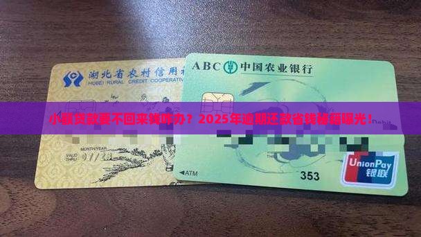 小额贷款要不回来钱咋办