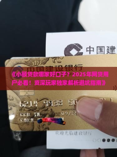小额贷款哪家好口子