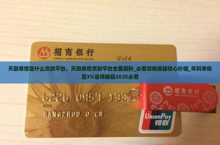 天融易借是什么贷款平台