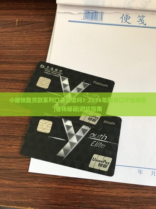 小猪快跑贷款系列口子