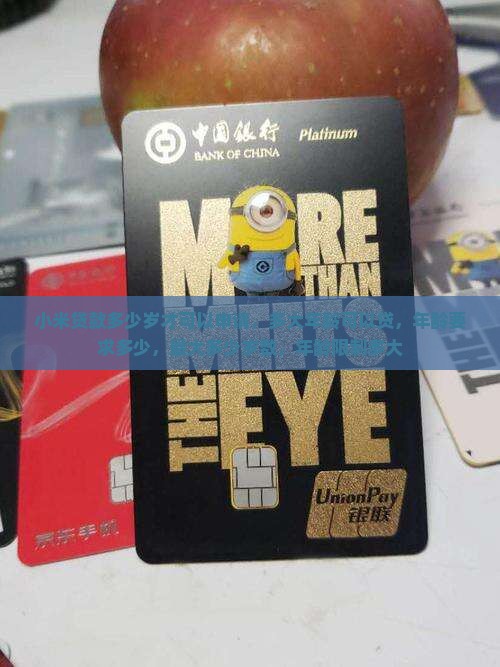 小米贷款多少岁才可以