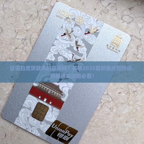 征信白虎贷款容易