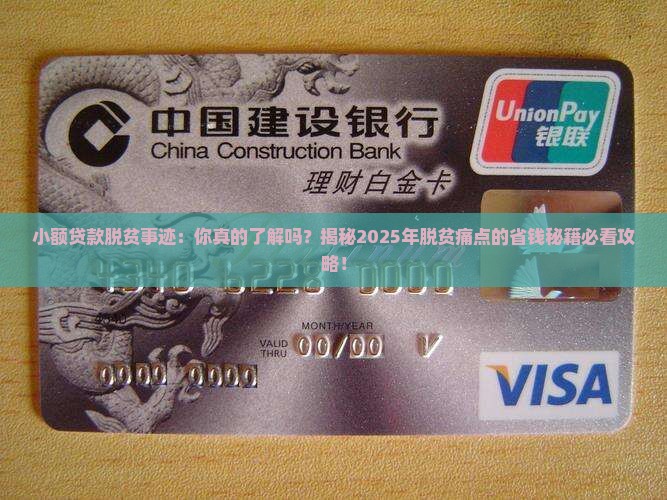 小额贷款脱贫事迹