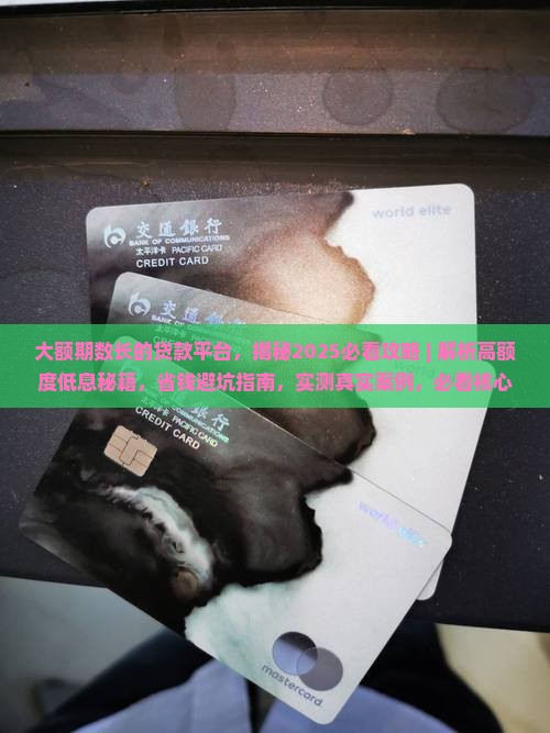 大额期数长的贷款平台