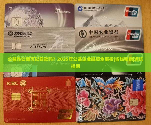 公益性公司可以贷款吗