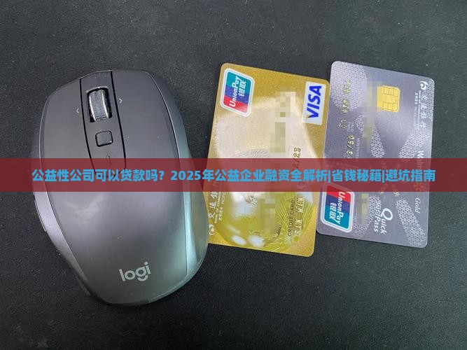 公益性公司可以贷款吗