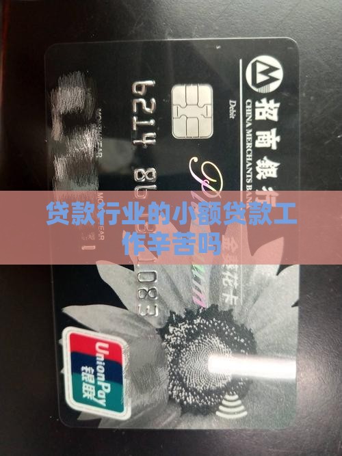 小额贷款工作辛苦吗